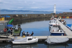 Overview of Newhaven Harbour with the Firth of Forth and Fife in the background