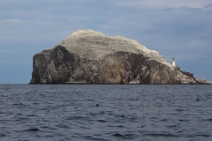 Bass-Rock2